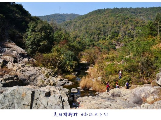 樟脚村油菜花开春意浓 幽深秀丽金钟潭
