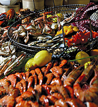 ������˼�����پƵ��������