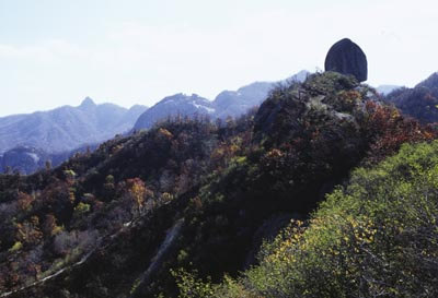 生态的伏牛山