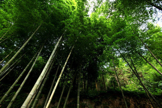 徒步曲径通幽处 山水分明青原山(2)