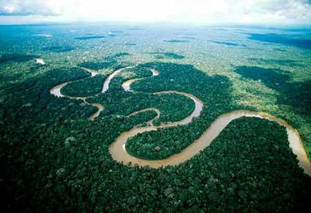 亚马逊丛林崎岖蜿蜒的河流