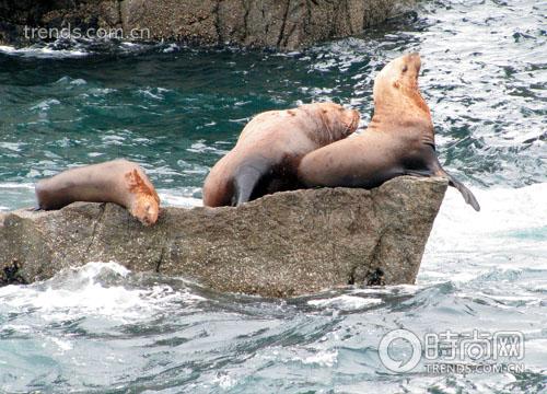 相较于其他方式，邮轮所带来的那种一望无际的安宁快乐对女性来说最为吸引。