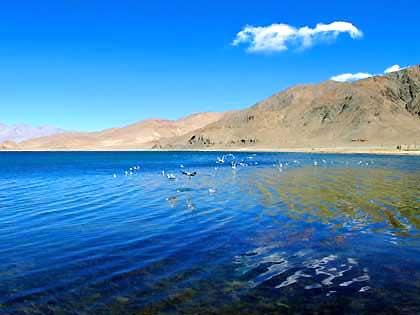 ���ذ���