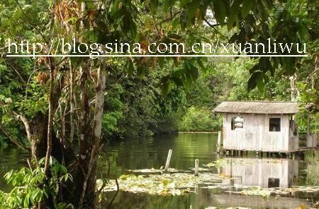 畅游亚马逊河 拜访亚马逊森林里的巫师(图)(4)