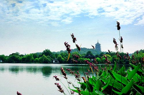 ������������