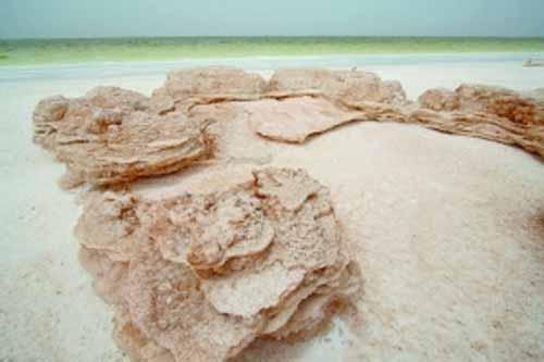 察尔汗盐湖中色彩斑斓的结晶盐形状各异
