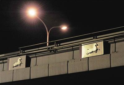 马甸桥的奔马形状夜景照明灯紧贴桥身