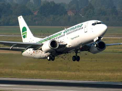 波音737-700客机遭遇鸟群撞击