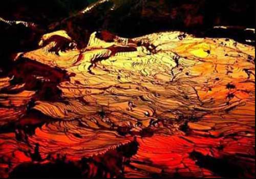 ����������