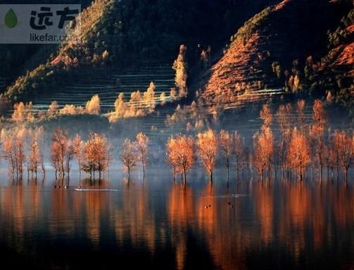 �������