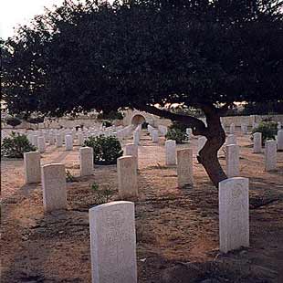 ɽ󾰵(7)ĹAlamein Cemetery