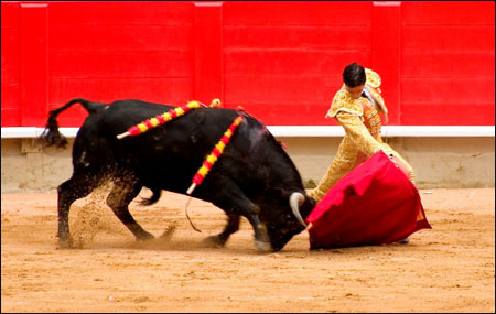 牛年说牛:西班牙国粹之斗牛(组图)(2)