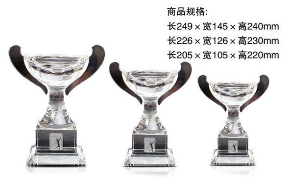 PGA TOUR XF1618奖杯(中)