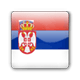 塞尔维亚队-2010南非世界杯