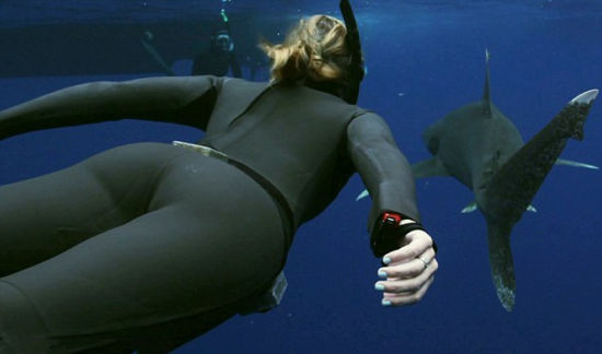 美国女子深海与鲨鱼共舞呼吁保护动物