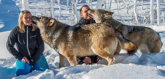 白狐狸头 U10877P6DT20140418095513.jpg