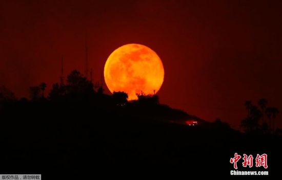 美国加州山火持续蔓延 大片森林化为灰烬_空域