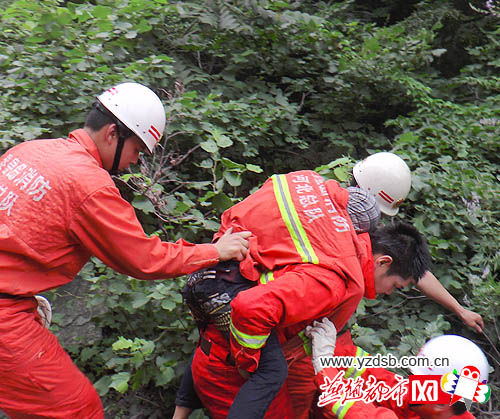 13岁男孩登山时遭遇马蜂，慌乱中坠崖身亡。