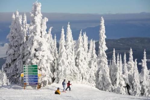 探营不列颠哥伦比亚省五大奇美雪场。