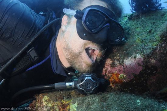 澳大利亚男子潜水与海底动物自拍走红_空域-水域_新浪户外_新浪体育_新浪网