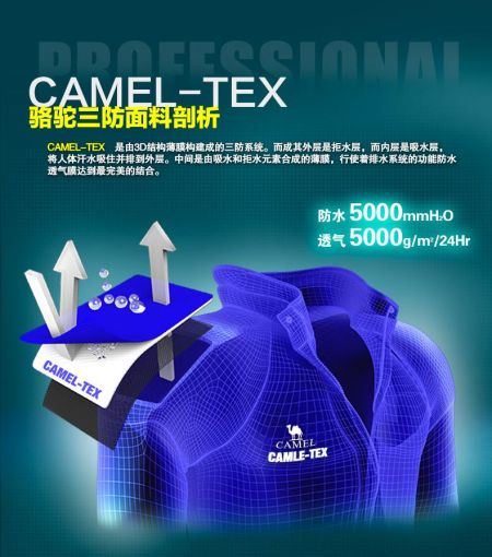 CAMELзCAMEL-TEXϿƼ