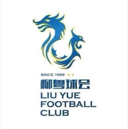 广西柳州柳粤2015年中国足协杯资格赛参赛名