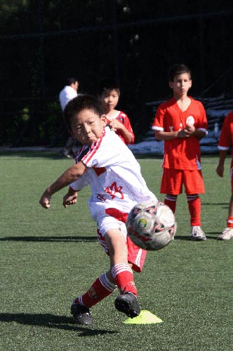 重庆灵活就业社保和职工社保的区别！一文读懂！渝超联赛-重庆城市足球联赛赛程-直播比分入口