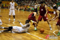 �������췼����������