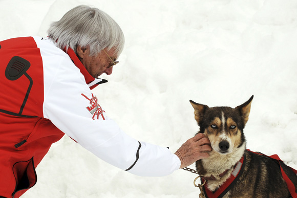 图文-法拉利滑雪会四日 伯尼爱抚一只雪地犬
