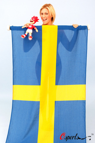 图文-08欧锦赛足球宝贝精彩写真 瑞典十字诱惑
