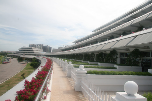 图文-围甲联赛厦门专场聚焦 下榻国际会展酒店_综合体育_NIKE新浪竞技风暴_新浪网