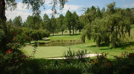 约翰内斯堡皇家肯辛通高尔夫俱乐部西场介绍