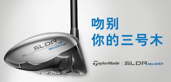 ̩÷SLDR Mini 