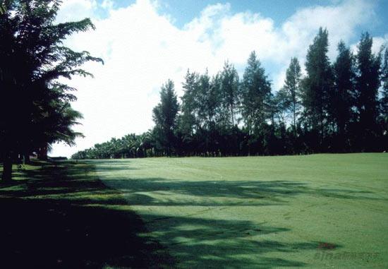 ͼ��-����̨��߶�������ͼ�������