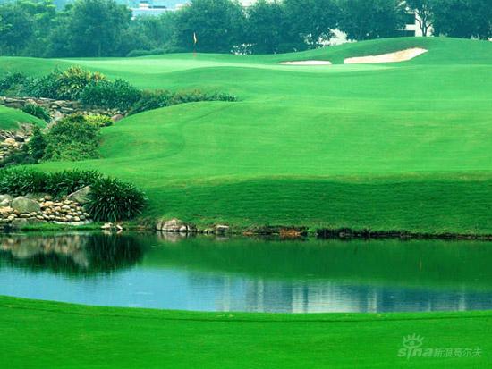 图文-雅居乐中山长江球会美景 绿意盎然_综合体育_NIKE新浪竞技风暴_新浪网