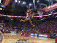 动图-吉祥物扣篮大赛火箭熊裁判_篮球-nba_新浪竞技