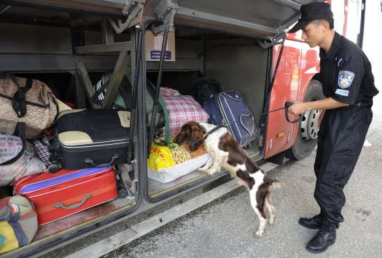 在广州西二环炭步检查站,一名警察牵着警犬在对入穗大巴车行李箱进行