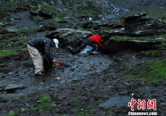 四姑娘山景区回应营地变垃圾场 称已清理_登山