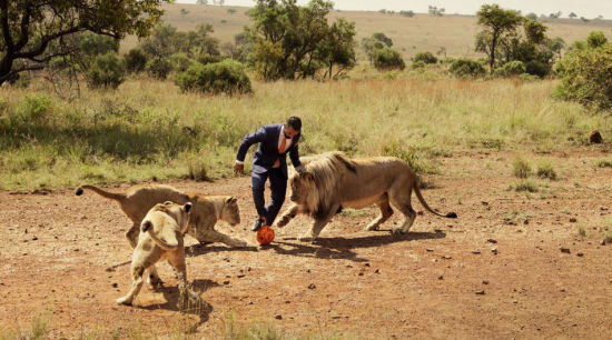 非洲管理员与狮子踢足球呼吁保护野生动物