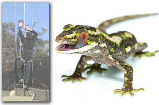 美国研发新技术助人们轻松攀爬垂直墙壁_登山