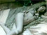 ̨�彻��Ů����������Ѷ��й���