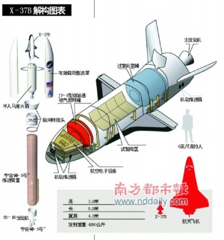 5號