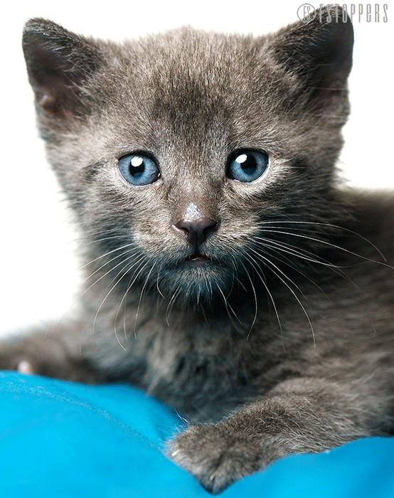 554_700竖版 竖屏gif 动态图 动图