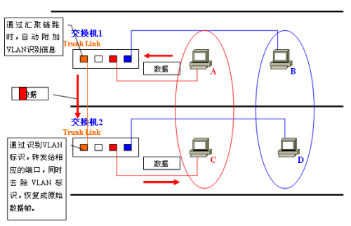 网络时代的复时效应：复时网络在数字经济中的应用