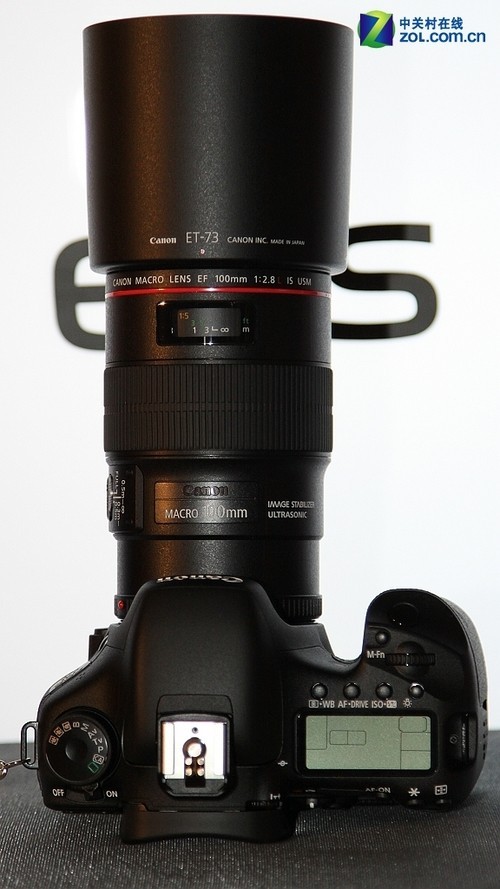 双重影像稳定 佳能100mm微距镜头报6400