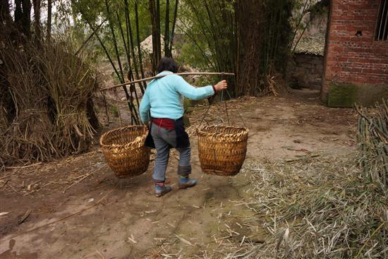 献给打工族 那些快被遗忘的农村美景