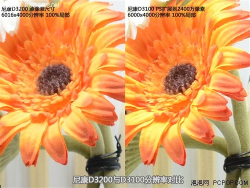 尼康d3200与扩展到2400万像素的d3100分辨率对比