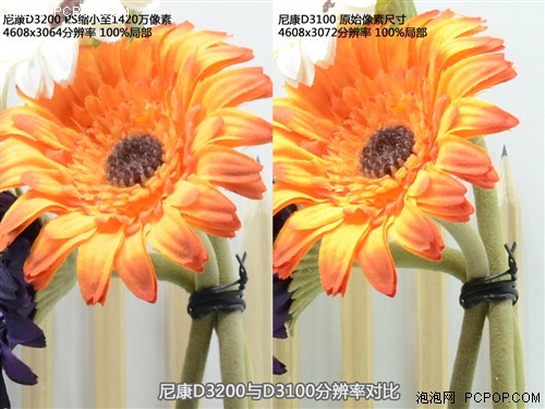 尼康d3200缩小至与d3100同像素下的分辨率对比