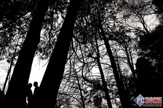 利用人影传达思想 绝妙的剪影照片分享|照片|剪影|人