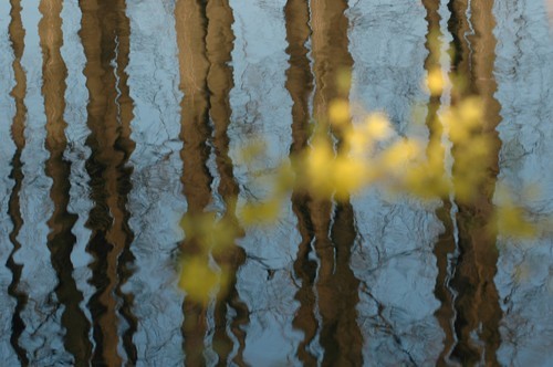 6个技巧要点 解密景深在拍摄中的重要性(2)|拍摄技巧|构图|景深_数码